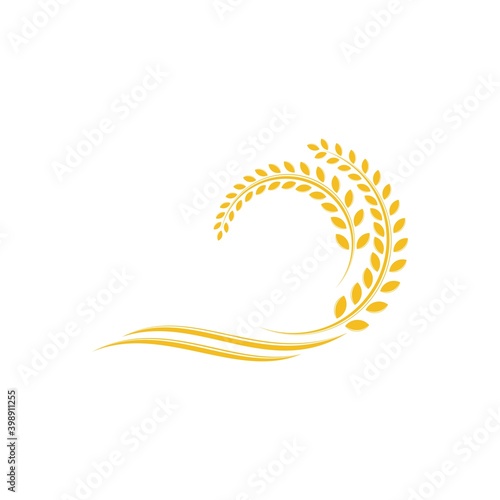 Wheat logo template and grain spikes icons design