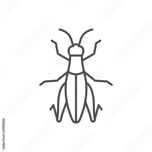 Grasshopper line outline or insect concept