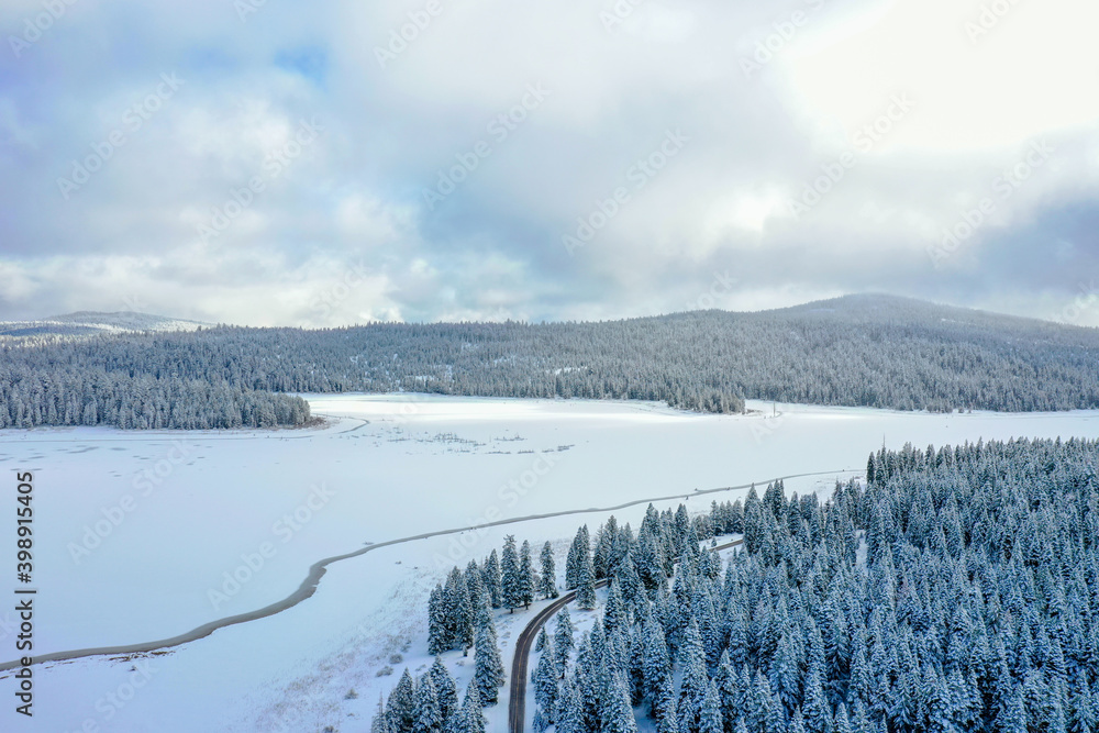Peaceful snowy forest and frozen lake under a cloudy sky