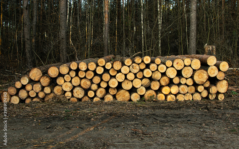 Chopped stack of logs, ready for transport