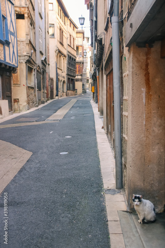 rue déserte, personne , il n'y a pas un chat, ah si il y a un chat © jef 77