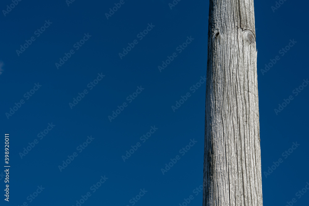 section of worn telephone pole