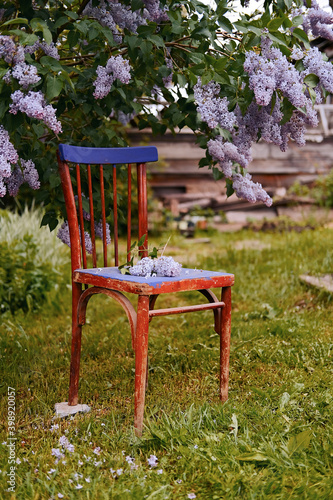 Fototapeta Naklejka Na Ścianę i Meble -  bench in the garden