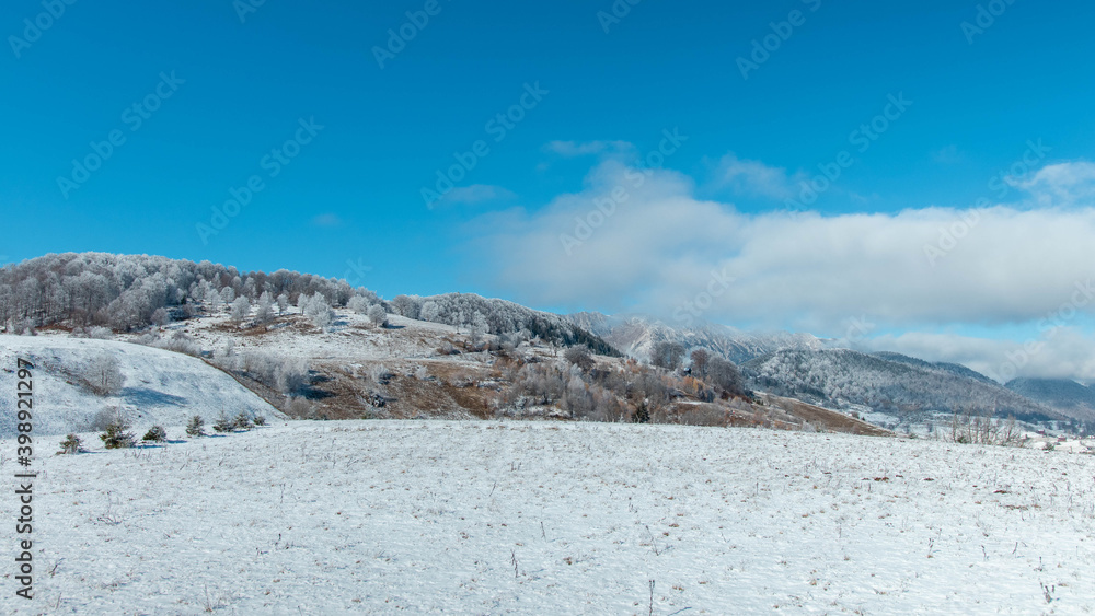 Amazing autumn winter landscape at the mountains base with colored trees