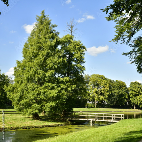 Petit pont en bois acc  dant    la plus grande ile du parc de Tervuren    l est de Bruxelles