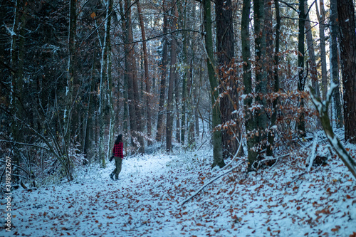 One person walking through the forest in winter time © Mihai