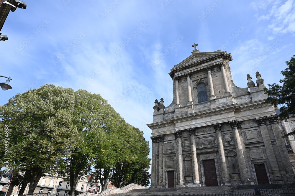 La Cathédrale de l'Assomption-de-Notre-Dame-et-Saint-Vaast d'Arras avec des arbres.