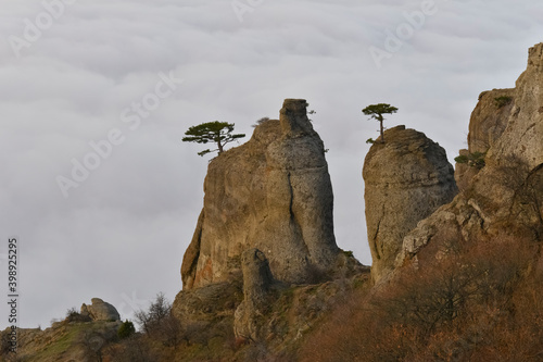 Weathered rocks with pine trees.
