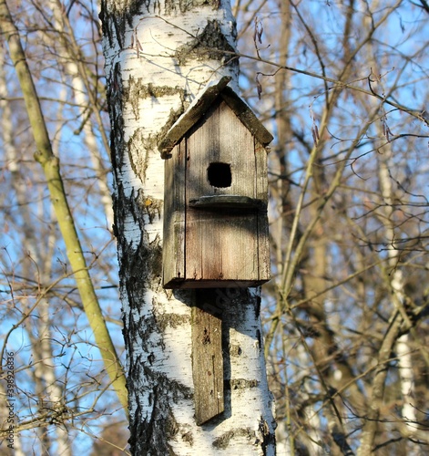 birdhouse on a tree