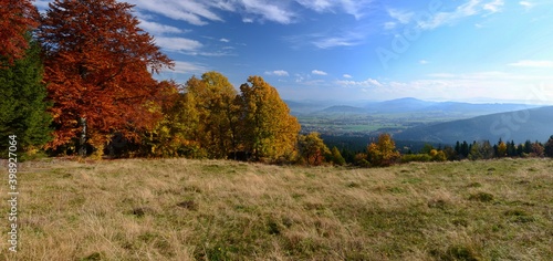 Autumn in Beskydy mountains  Czech republic. Colorful trees  valley view  panorama.