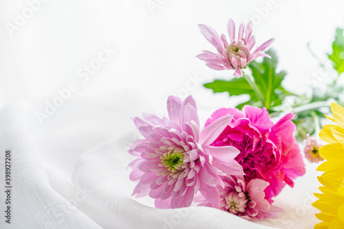 ピンク色のスプレーマム