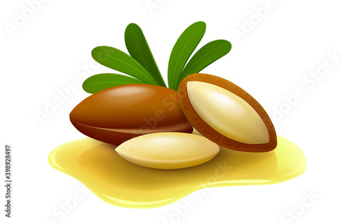 Argan nuts with leaves and peeled seeds in oil puddle isolated on white background. Realistic vector illustration. 