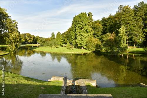 Variété d'arbres dont certains majestueux autour d'un des étangs du parc de Tervuren à l'est de Bruxelles photo