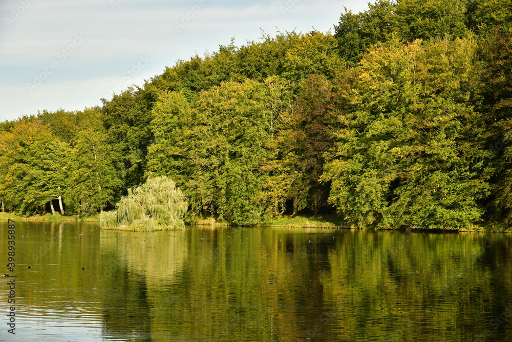 Reflet magique de la nature luxuriante en début d'automne autour d'un des étang du parc de Tervuren à l'est de Bruxelles Reflet magique de la nature luxuriante en début d'automne autour d'un des étang du parc de Tervuren à l'est de Bruxelles