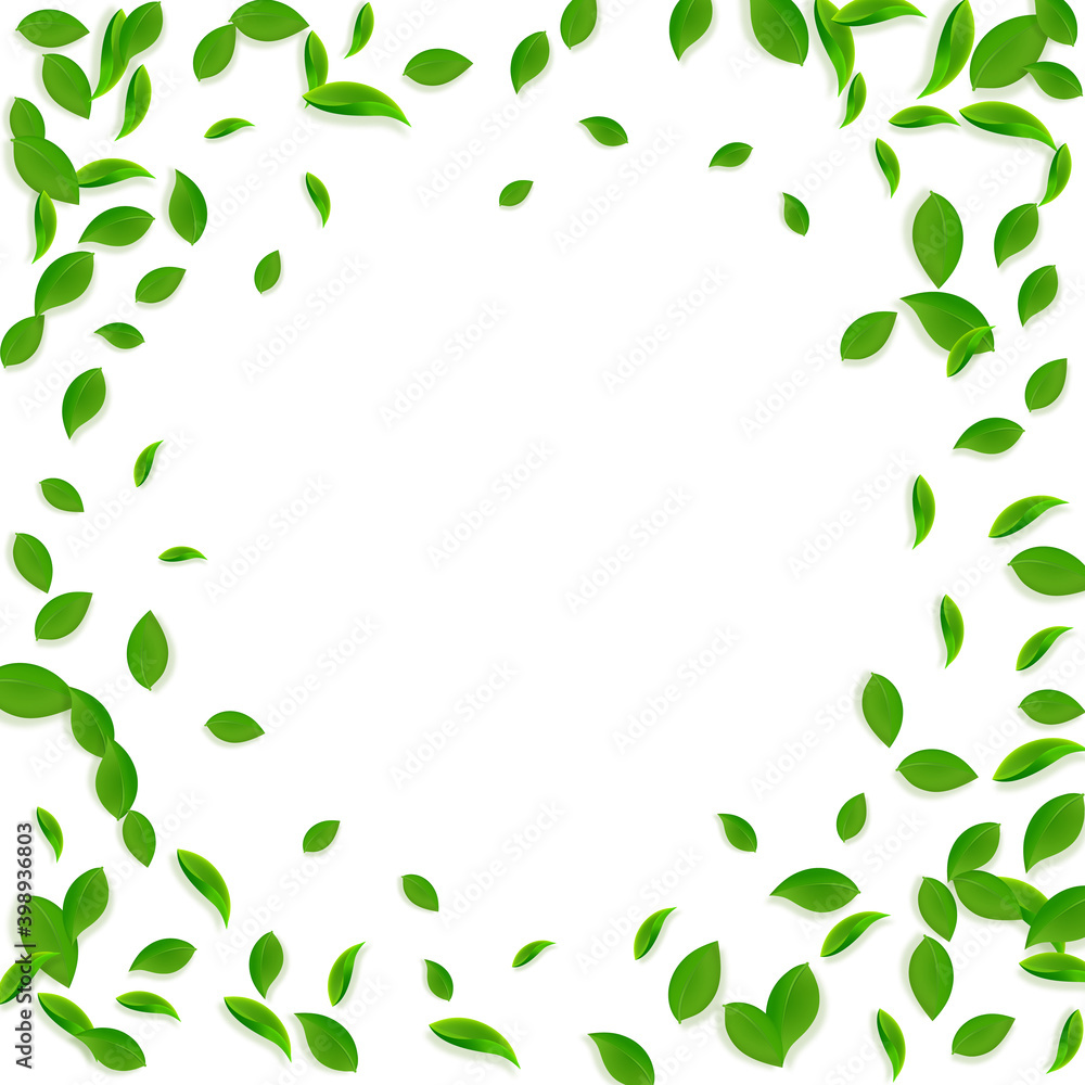 Falling green leaves. Fresh tea chaotic leaves fly Falling green leaves. Fresh tea chaotic leaves fly