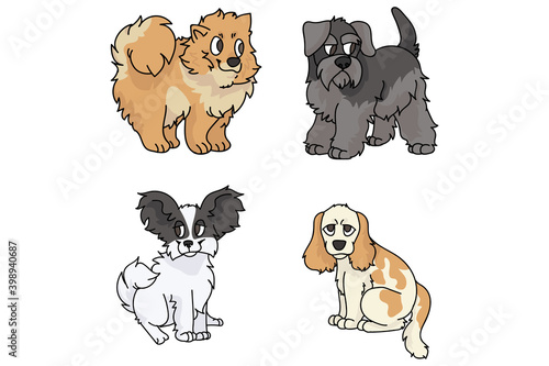 Cute cartoon dog breed set vector. Pedigree kennel spitz, papillon and schnauzer for dog lovers. Purebred cocker spaniel illustration. Isolated hunting hound. 