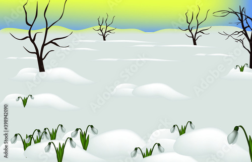 glade with snowdrops