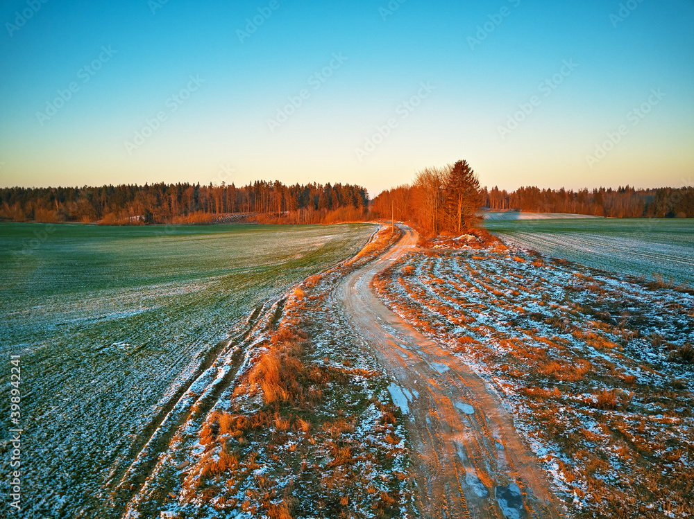 Winter green Agricultural field winter crops under snow.