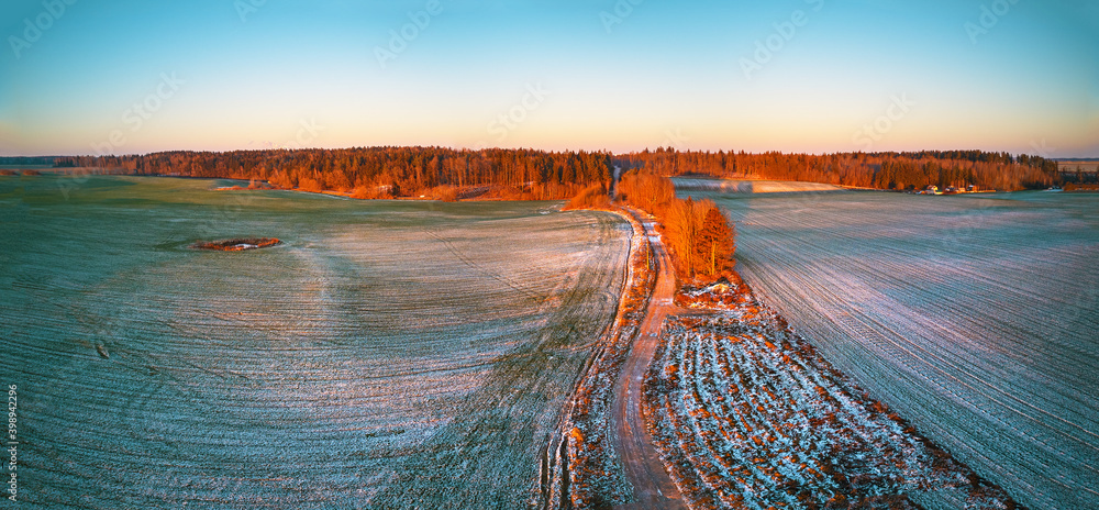 Winter green Agricultural field winter crops under snow panorama. Colorful trees December sunset