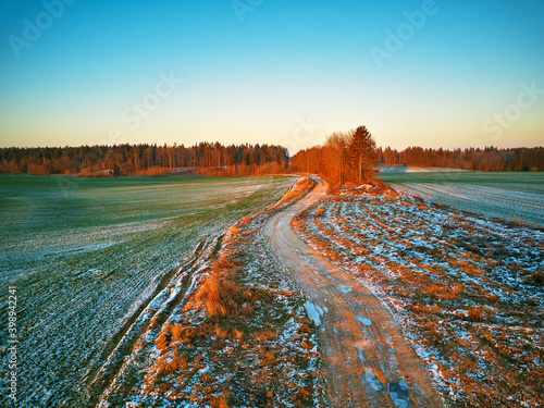 Obraz na płótnie Winter green Agricultural field winter crops under snow. w salonie