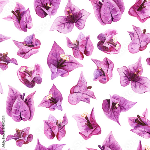 Seamless pattern with watercolor flowers of bougainvillea.