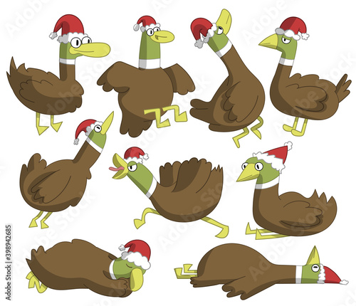Cute ducks in Christmas cos...