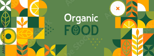 Organic food banner in flat style. Fruits and cereals geometry minimalistic with simple shape and figure.Great for flyer, web poster, natural products presentation templates, cover design. Vector .