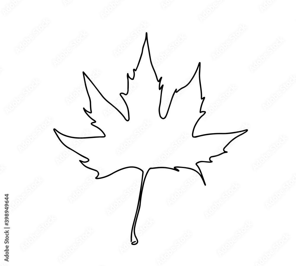 one line drawing of isolated vector object - maple leaf. One continuous ...