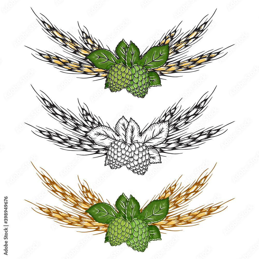 hops and wheat. Hand drawn objects. Vector illustration. Isolated on white.