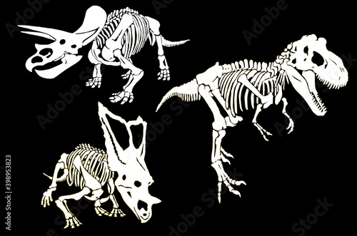 Graphical set of skeletons of dinosaurs isolated on black background, vector 