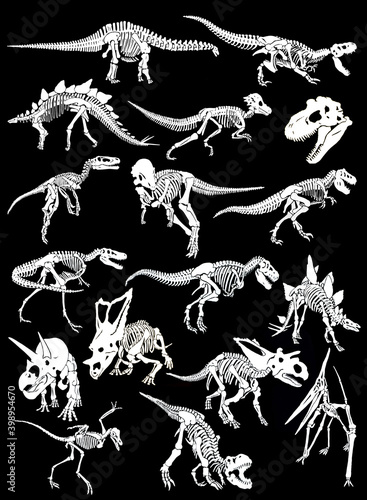 Graphical set of skeletons of dinosaurs isolated on black background, vector 