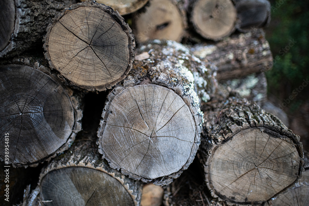 Firewood logs in a pile. Firewood logs in a pile.