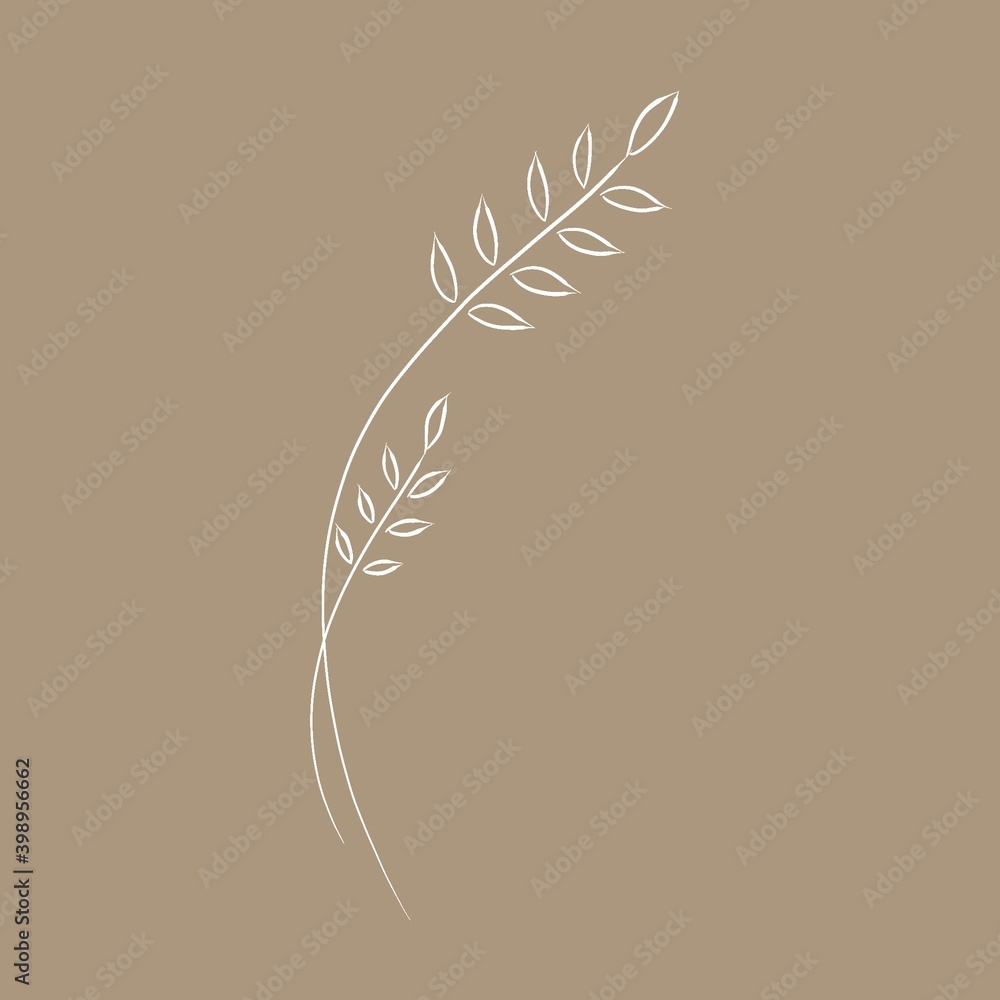 The plant on a beige background The plant on a beige background