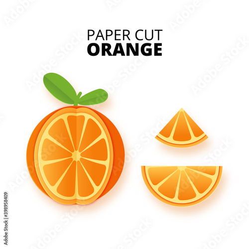 Set of orange citrus fruit sliced whole in a paper cut style. Orange slices and paper slices. Stock vector illustration. Isolated on white background vector illustration. Vector paper cut poster