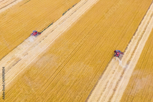 Harvesting machine working in the field. Top view from the drone Combine harvester agricultural machine ride in the field of golden ripe wheat.