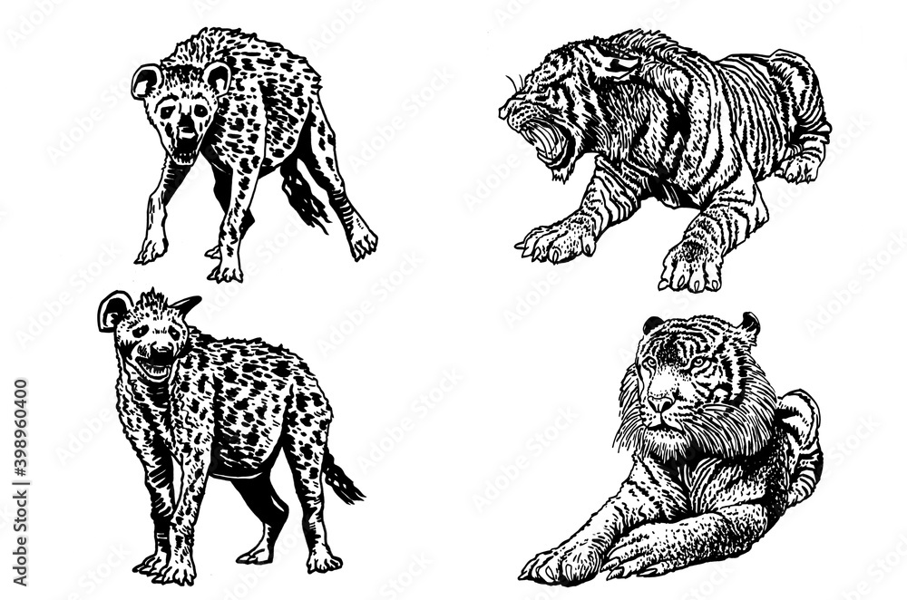 Graphical set of African animals isolated on white background, vector ...