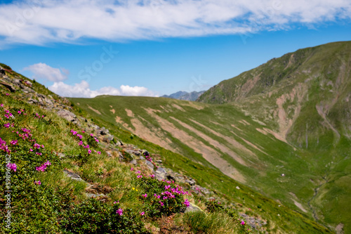 Beautiful view from Fagaras Romanian mountains, Suru peak. photo