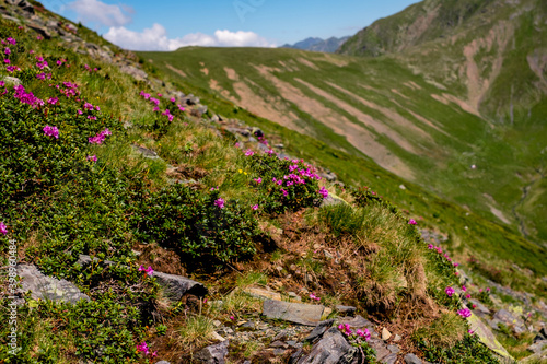 Beautiful view from Fagaras Romanian mountains, Suru peak. photo