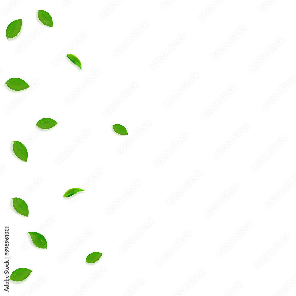 Falling green leaves. Fresh tea random leaves flyi Falling green leaves. Fresh tea random leaves flyi
