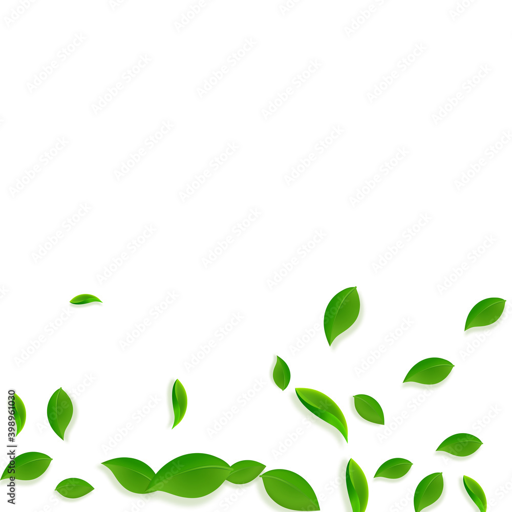 Falling green leaves. Fresh tea chaotic leaves fly Falling green leaves. Fresh tea chaotic leaves fly