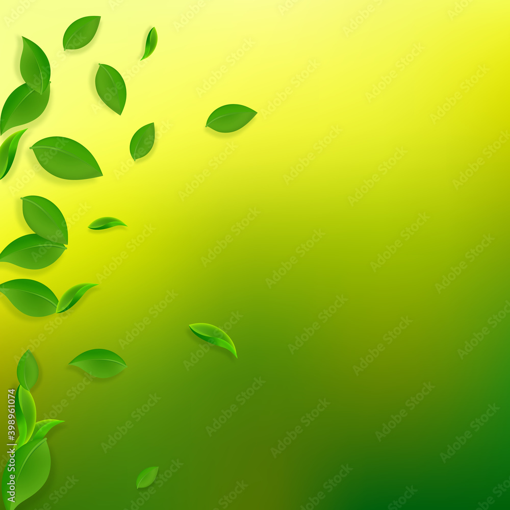 Falling green leaves. Fresh tea chaotic leaves fly Falling green leaves. Fresh tea chaotic leaves fly