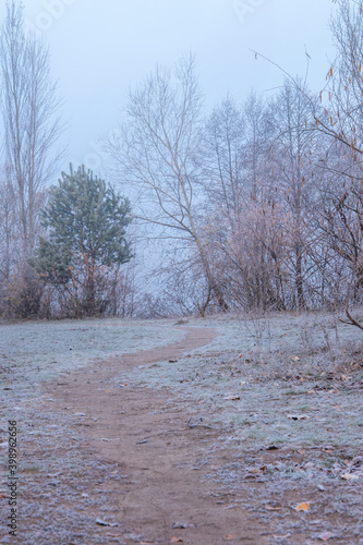 Ukraine, Kyiv - 30 November 2020: Eko-Park Osokorky frozen mist morning photo