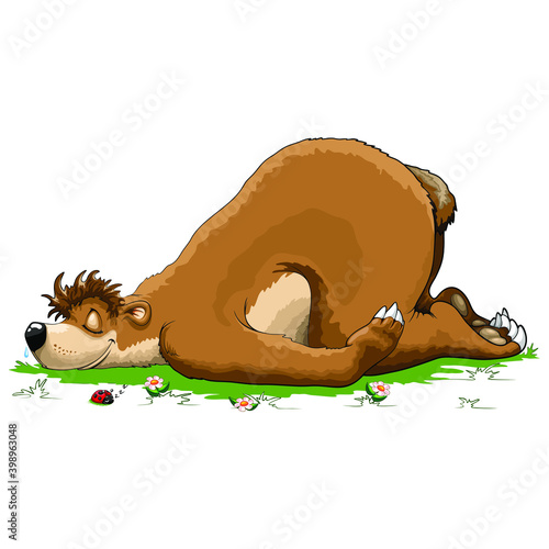 Lazy Bear Sleeping among Flowers, and a cute LadyBug Vector Illustration
