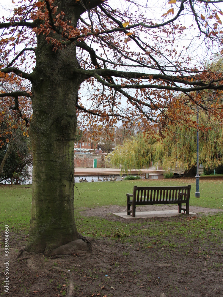 Autumn Bench Autumn Bench