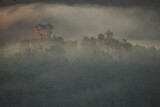 Castle ruin on a forest hill in fog during sunrise in palatinate forest germany