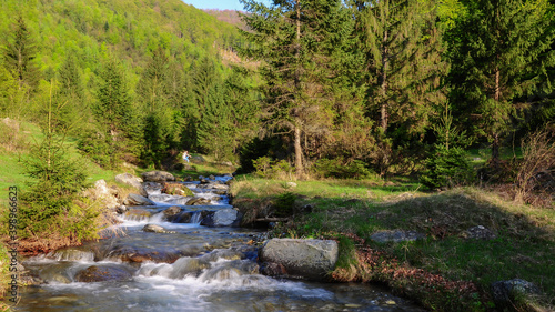 Foto A mountain stream flowing rapidly through rocks along a spruce forest and under the sun rays
