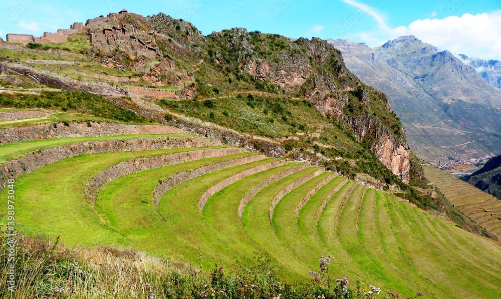 Peru green grass agriculture terraced fields in Sacred Valley Urubamba near Incas Fortress ruins Pisac surrounded spectacular Andes mountains in sunny summer time. Majestic El Valle Sagrado.