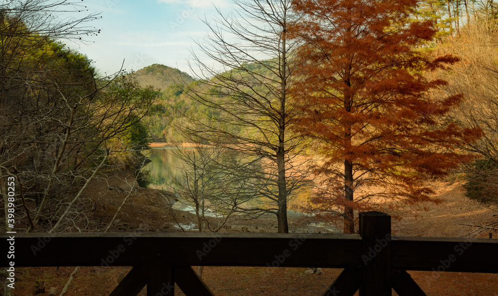 Φωτογραφία 兵庫県・三田市の池の風景