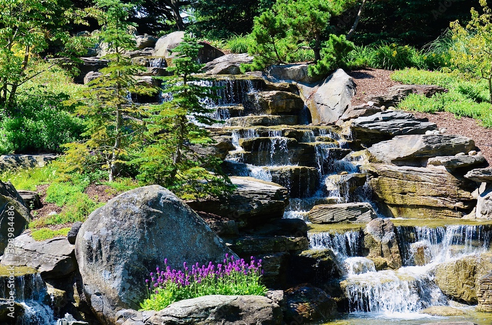 Φωτογραφία Scenery at Frederick Meijer Gardens & Sculpture in Michigan, with the tranquillity, simplicity and beauty