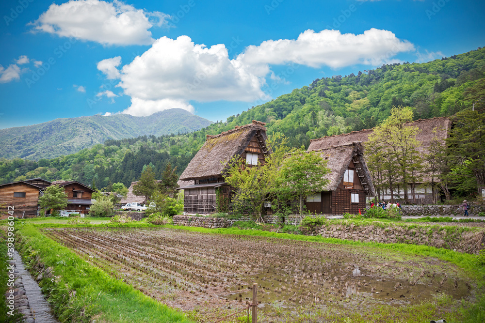 GIFU,JAPAN - 10 Mayl,2015 : Shirakawago Declared a UNESCO world heritage site in 1995, Is famous for their traditional gassho-zukuri farmhouses, The village is surrounded by abundant nature.